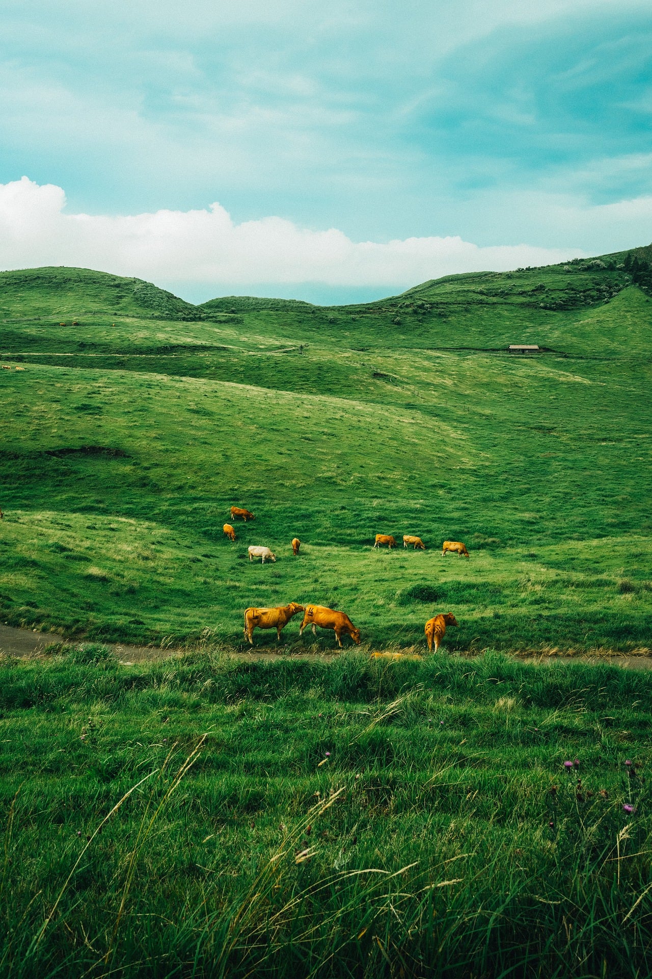 nature